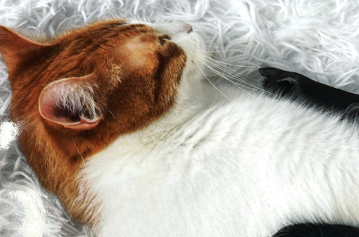 SANdo DeltaFlex Start Katze