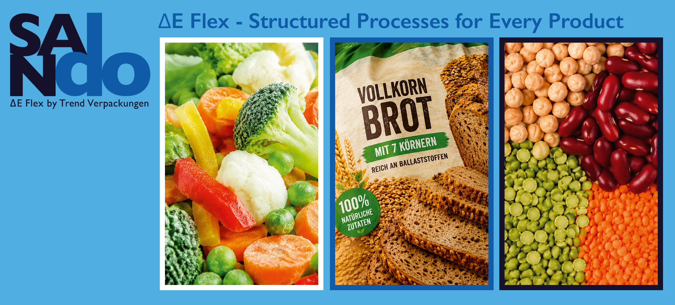 E_DeltaE_Structured_Processes_for_Every_Product