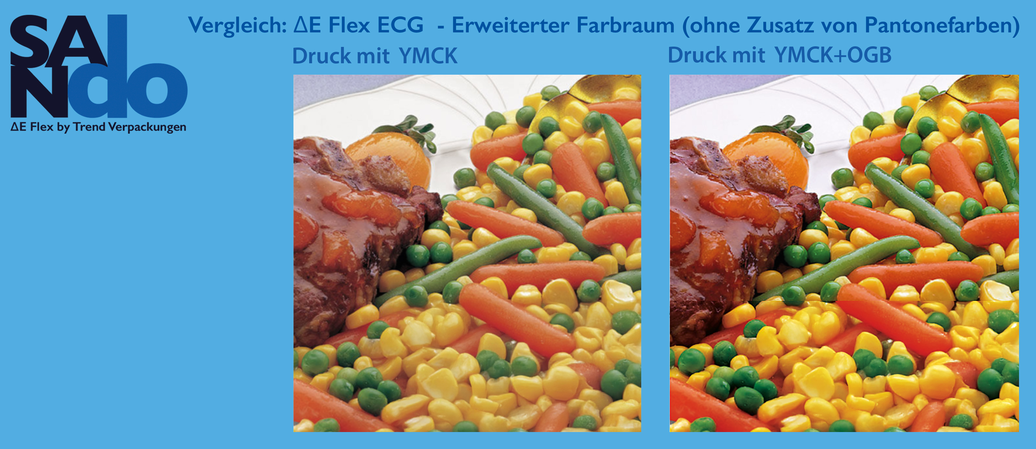 SANdo Delta E Flex Color+ECG 3
